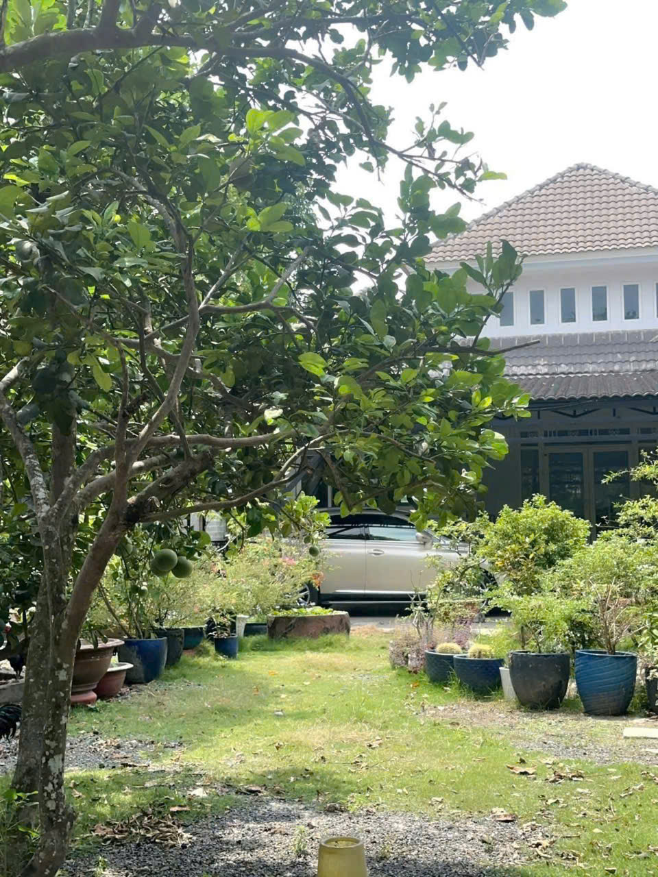 BÁN BIỆT THỰ VƯỜN + ĐẤT MẶT TIỀN NHỰA – TÂN THÔNG HỘI, CỦ CHI – NGANG KHỦNG 20M - Ảnh chính