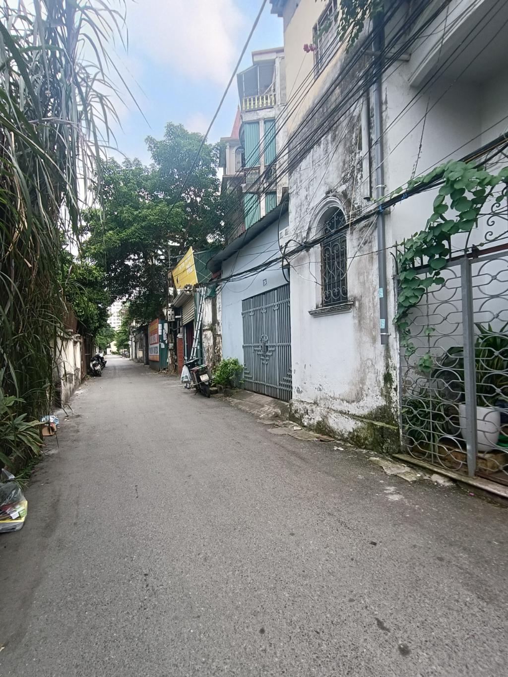 Nguyễn Trãi, phân lô, 52m kinh doanh đỉnh cao, ô tô tránh, vỉa hè rộng - Ảnh 1
