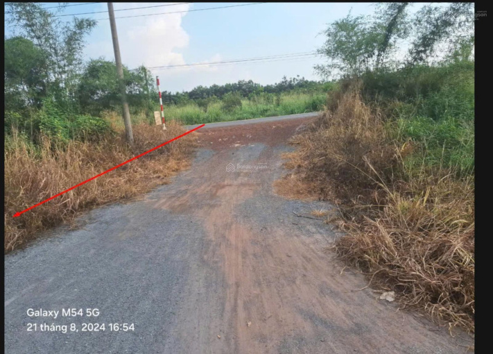 Bán đất mặt tiền đường DT746, xã Tân Định, Bắc Tân Uyên, Bình Dương. - Ảnh 1