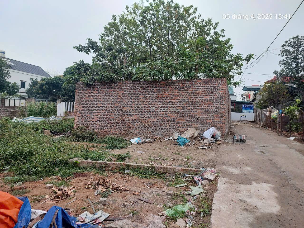 Bán đất Nam Hồng, 64m2, mt5m, 4.2 tỷ, Đông Anh, ô tô. - Ảnh chính