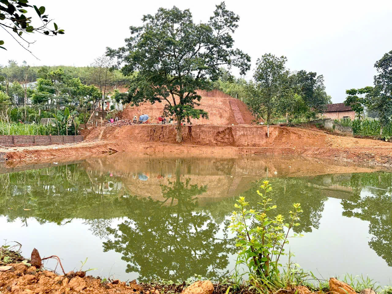 Chính chủ bán đất view đẹp nhất Thơn Dy - Minh Quang -Ba Vì - Ảnh 3