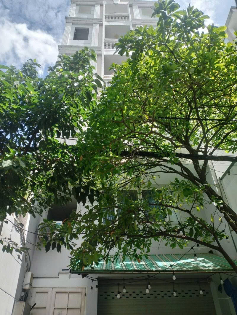 Bán nhà Dương Quảng Hàm - sau lưng Emart Phan Văn Trị, 6/8,3x24m, 6 Tầng, 32 PN, 26,5 tỷ. - Ảnh chính