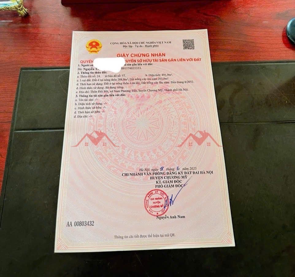 CHÍNH CHỦ BÁN LÔ ĐẤT 491,9M TẠI NAM PHƯƠNG TIẾN-CHƯƠNG MỸ-HÀ NỘI - Ảnh 3