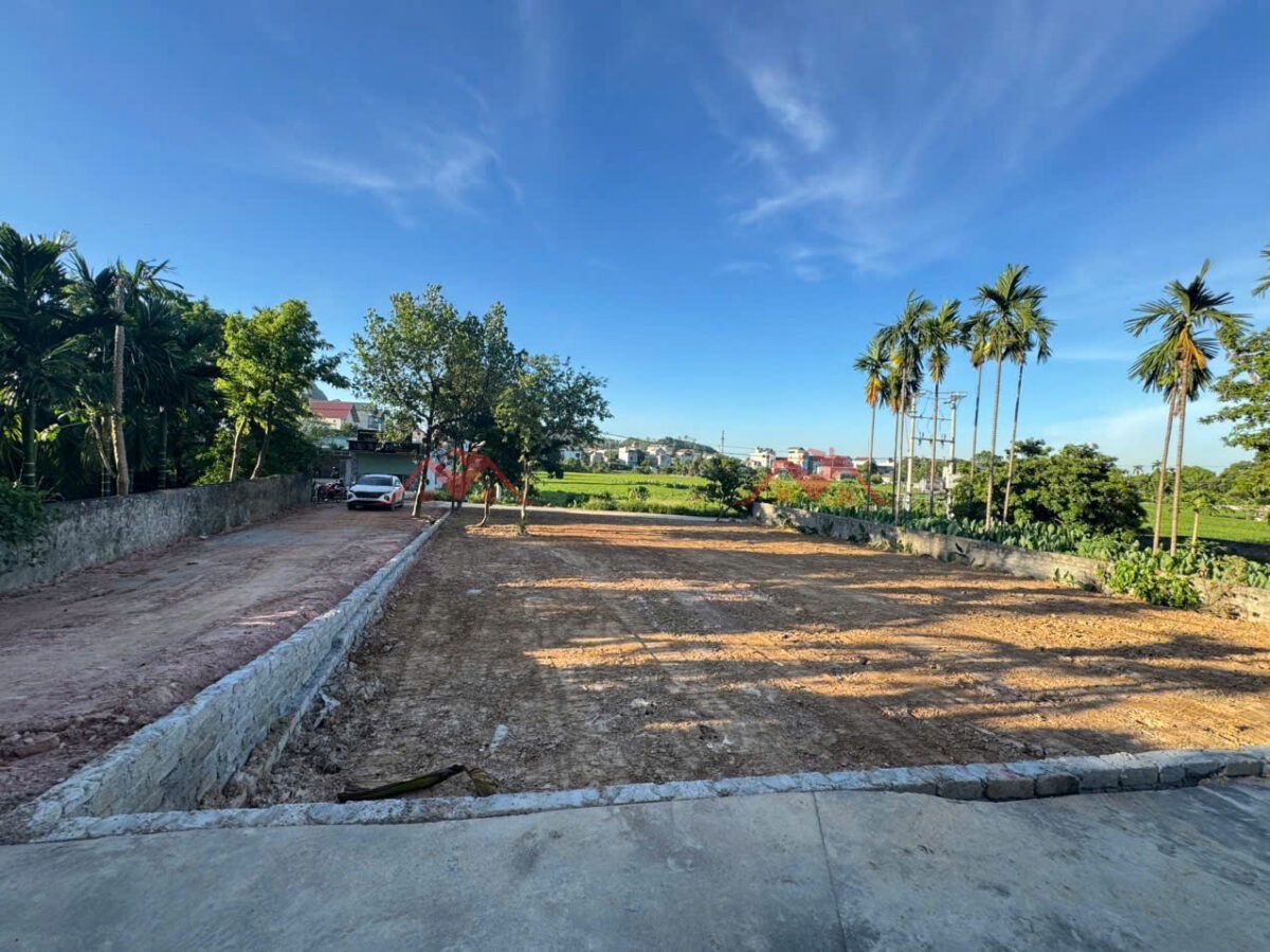 CHÍNH CHỦ BÁN LÔ ĐẤT 491,9M TẠI NAM PHƯƠNG TIẾN-CHƯƠNG MỸ-HÀ NỘI - Ảnh 1