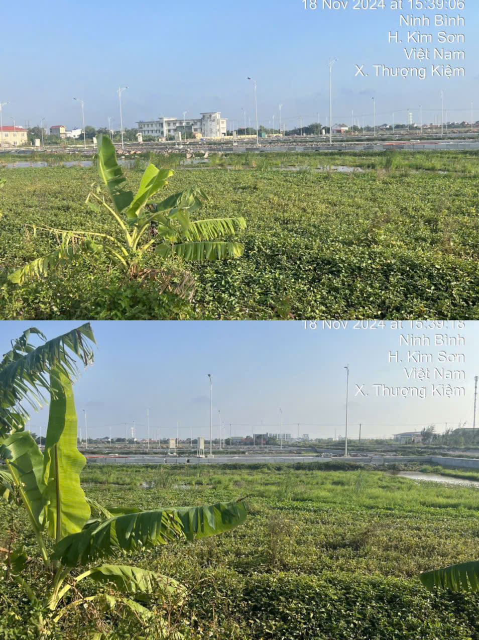 CẦN BÁN LÔ ĐẤT ĐẤU GIÁ TRUNG TÂM PHÁT DIỆM – VỊ TRÍ ĐẸP - GIÁ TỐT ĐẦU TƯ - Ảnh 2