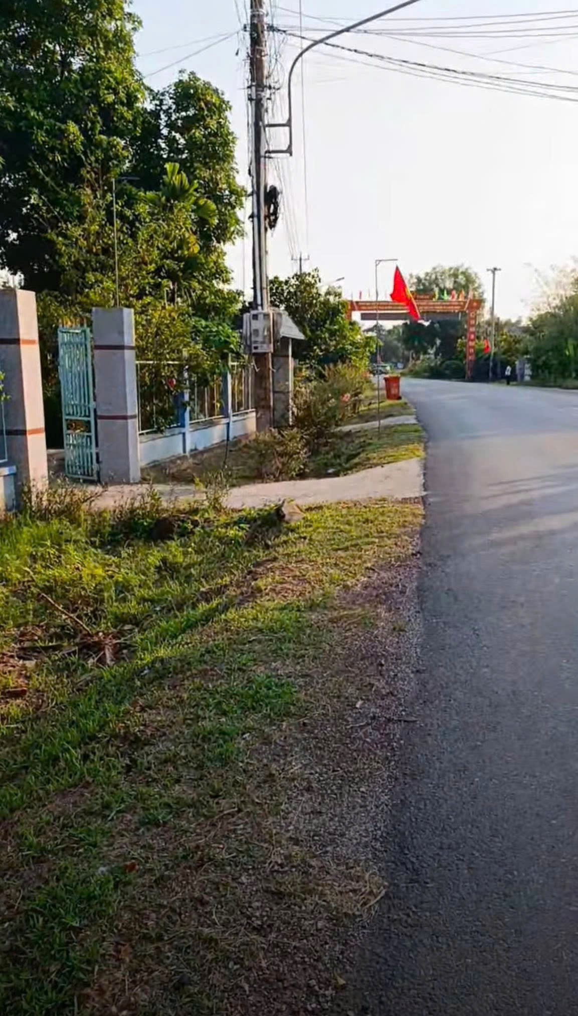 CHÍNH CHỦ GỬI BÁN Lô Đất Mặt Tiền DH 507 Xã An Thái, Huyện Phú Giáo, Bình Dương - Ảnh 1