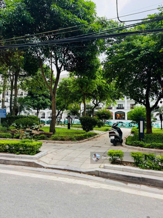 Bán nhà riêng Trần Thái Tông Cầu Giấy - 78m2 MT 8m - Lô Góc Ô Tô KDVP Gần Công Viên Cầu Giấy - Ảnh 2