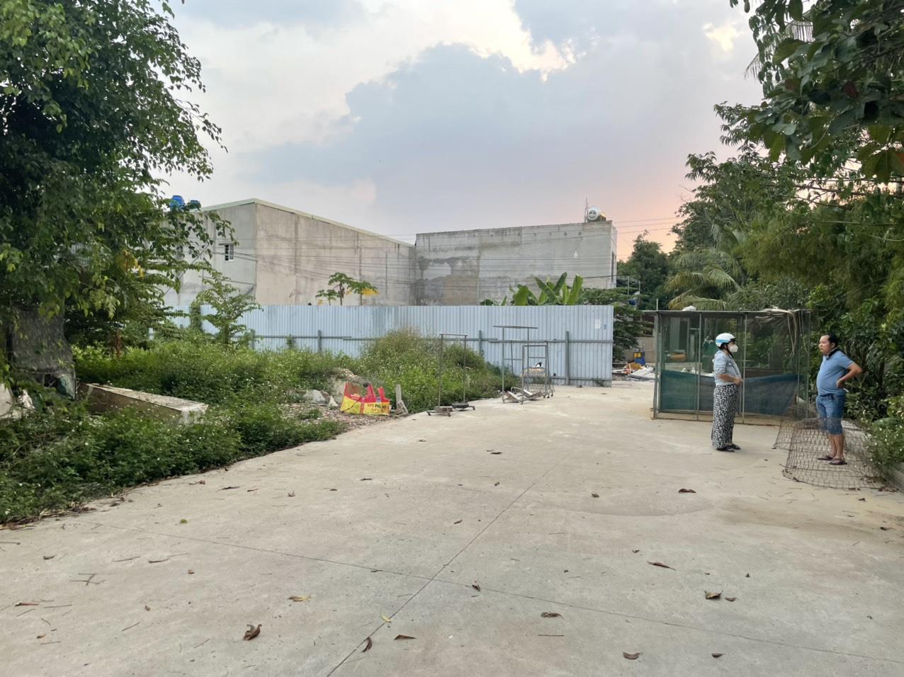 29. SỐC -TX51- ĐẤT SHR -NGAY CHỢ ĐƯỜNG, 75,6M2 THỔ CƯ, ĐƯỜNG 7M DÂN TRÍ CAO - 2,780 tỷ - Ảnh 2