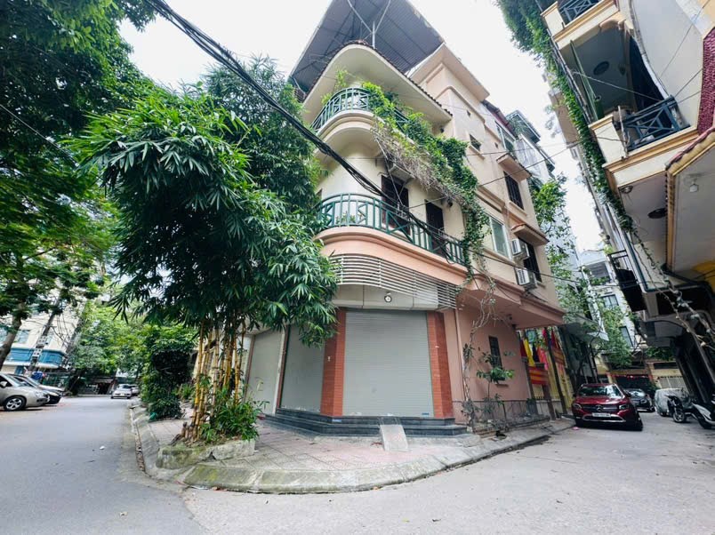 Hàm cá mập Ba Đình, một căn duy nhất, lô góc ba thoáng - Ảnh chính