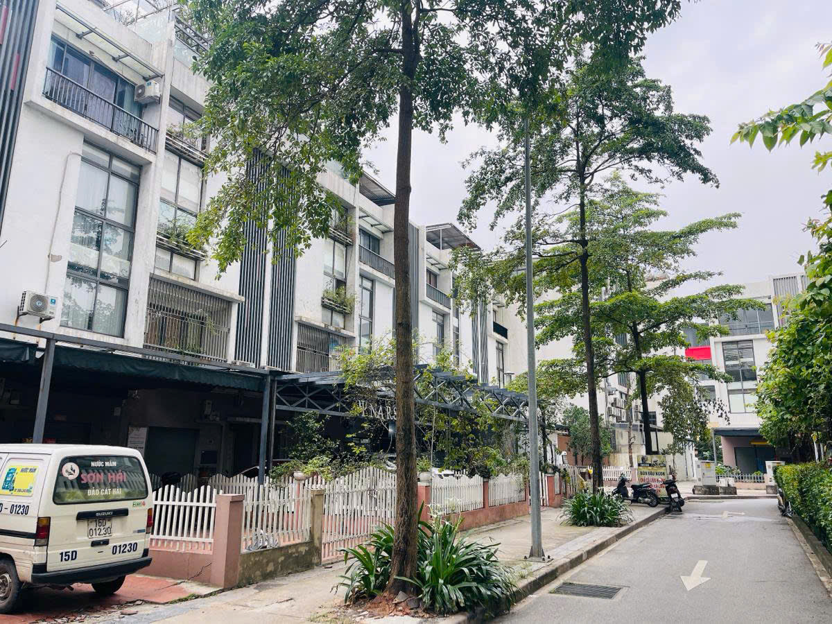 cần bán căn nhà siêu hiếm dòng tiền khủng 70 triệu 1 tháng - Ảnh 2