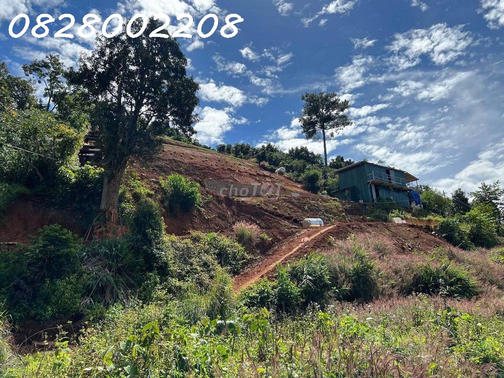 Chính chủ bán nhanh 5518m2 đất tại Xuân Trường, Đà Lạt, giá 4.5 tỷ - Ảnh 2