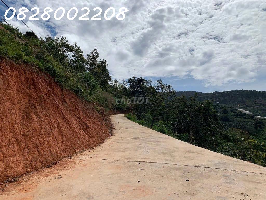 Chính chủ bán nhanh 5518m2 đất tại Xuân Trường, Đà Lạt, giá 4.5 tỷ - Ảnh 3