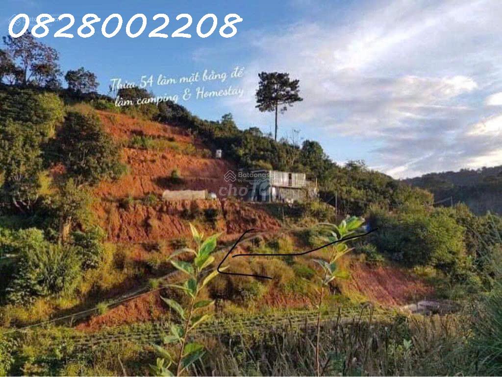 Chính chủ bán nhanh 5518m2 đất tại Xuân Trường, Đà Lạt, giá 4.5 tỷ - Ảnh 1