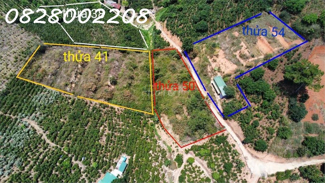Chính chủ bán nhanh 5518m2 đất tại Xuân Trường, Đà Lạt, giá 4.5 tỷ - Ảnh chính