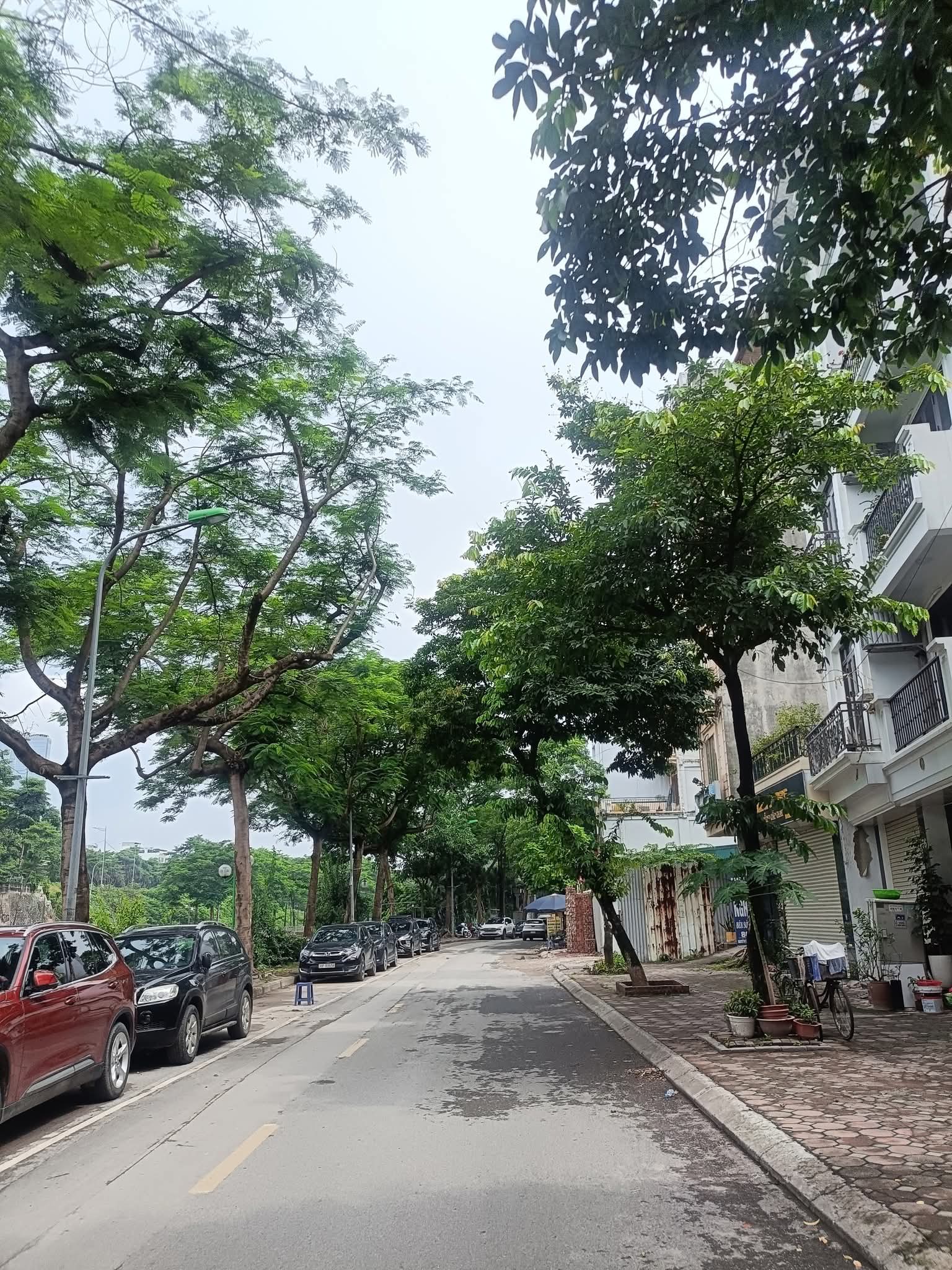 MẶT PHỐ NGUYỄN ĐÌNH HOÀN CẦU GIẤY, VỊ TRÍ ĐẸP VỈA HÈ Ô TÔ KINH DOANH. DT 132M2 GIÁ CHÀO 38 TỶ - Ảnh chính