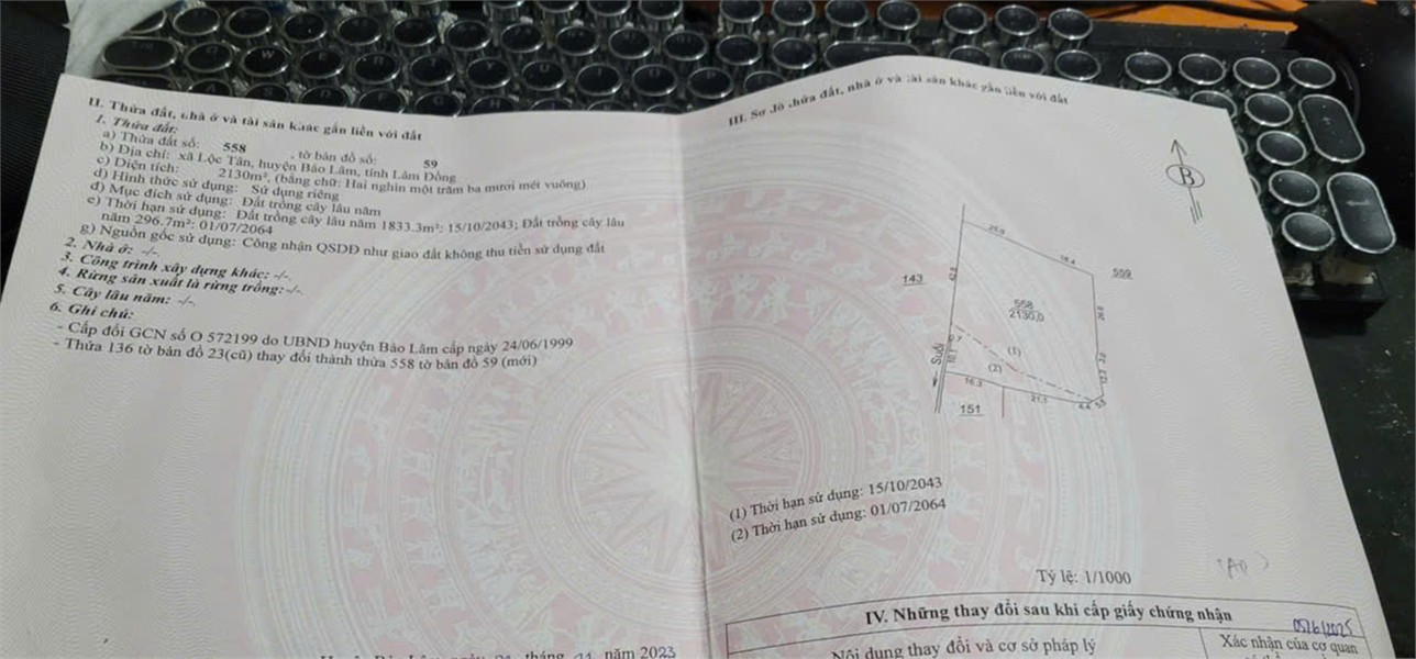 GIÁ TỐT - CHÍNH CHỦ Cần Bán Nhanh Lô Đất Vườn Full Cà Phê Vị Trí Tại Huyện Bảo Lâm, Tỉnh Lâm Đồng - Ảnh chính