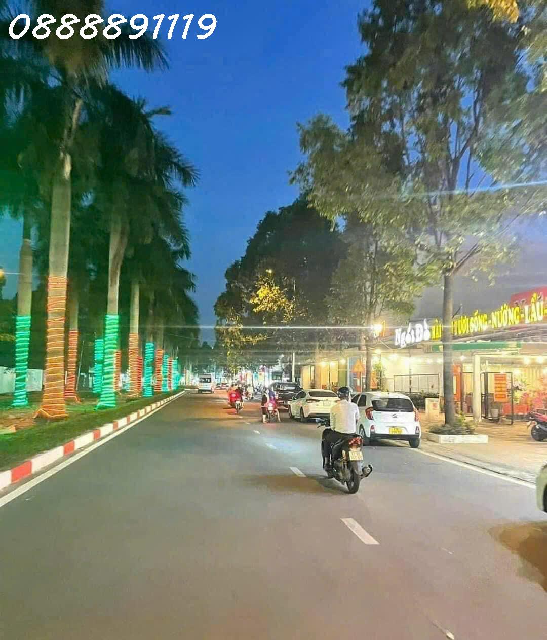Siêu phẩm đất mặt tiền đường GS1, Dĩ An, Bình Dương, DT 120m2 full thổ cư, giá đầu tư - Ảnh 3