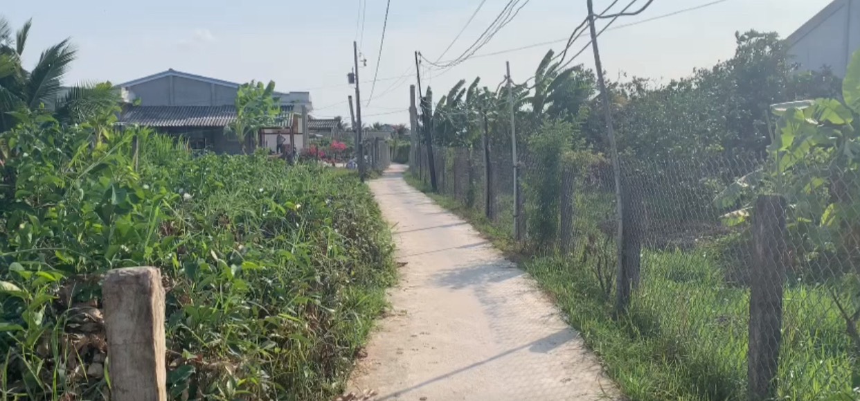 Đất đẹp tại Long An giá cực hấp dẫn có một không hai chỉ nhỉnh 3xxtr - Ảnh 1