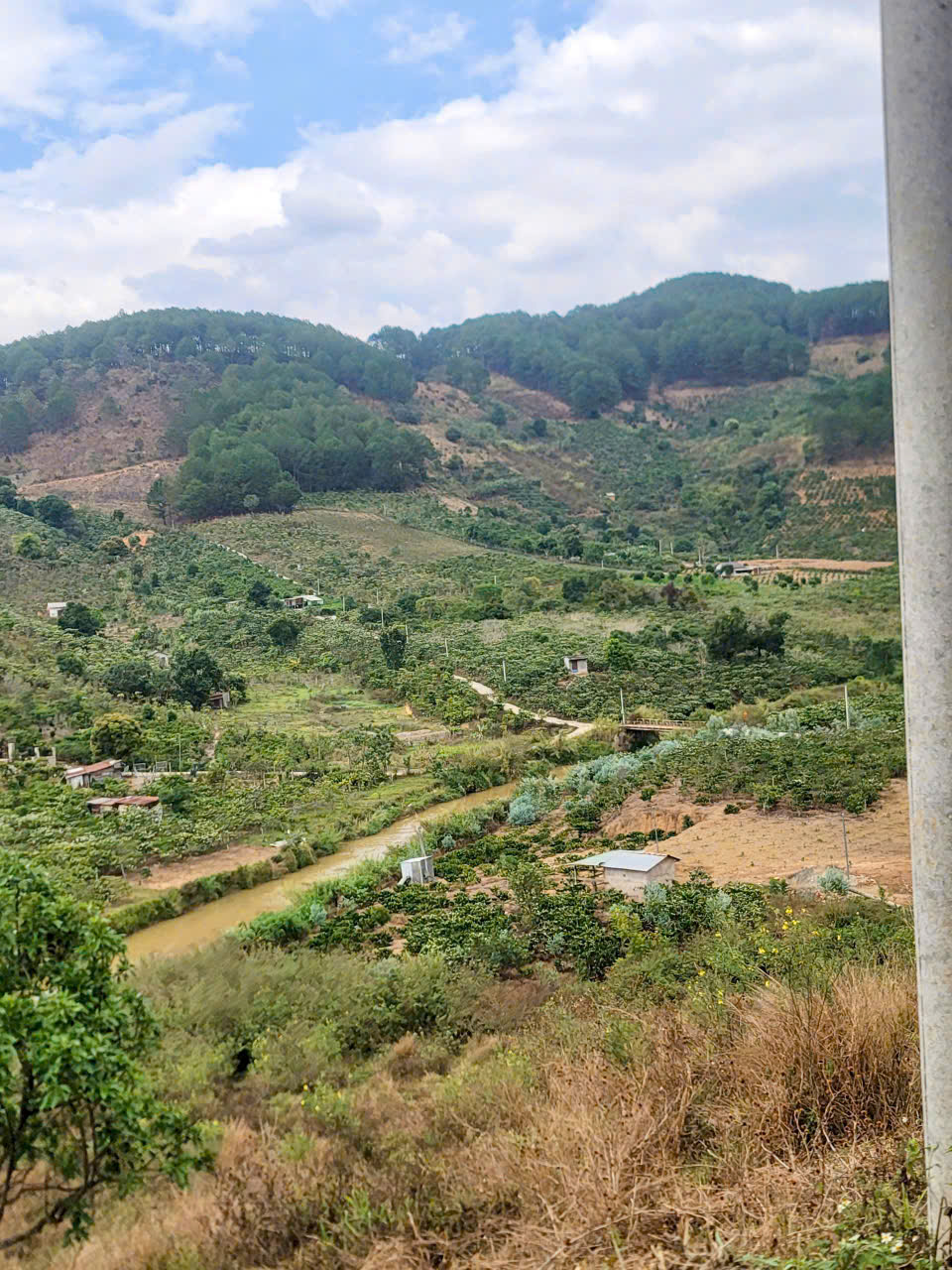 CẦN BÁN 6525M ĐẤT SỔ RIÊNG TÀ NUNG ĐÀ LẠT - giá chỉ 6 tỷ - Ảnh 1