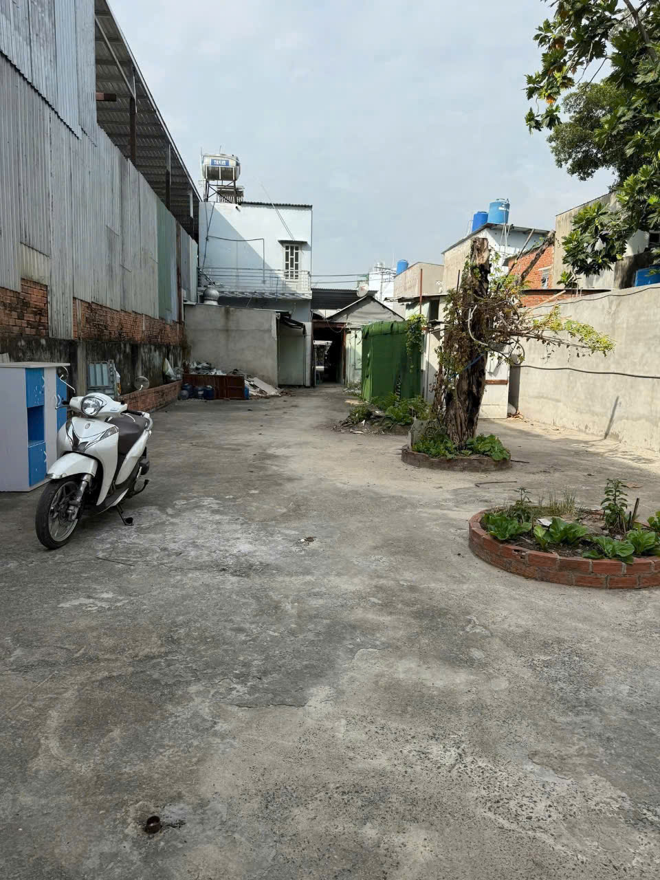 BÁN NHÀ MẶT TIỀN PHAN VĂN HỚN – ẤP TÂY LÂN – XÃ BÀ ĐIỂM – HÓC MÔN - Ảnh 3