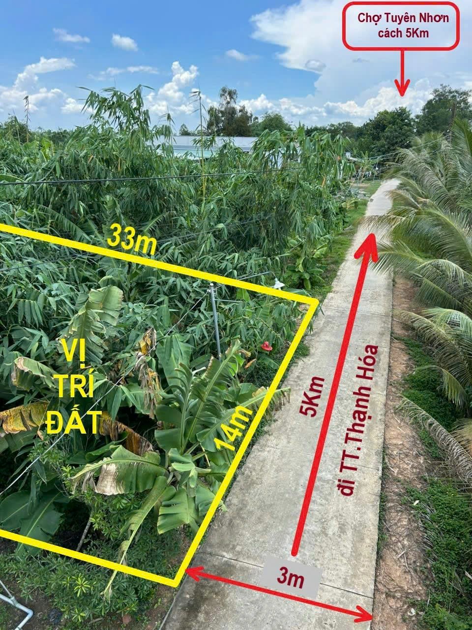 Bán đất thổ 462m2, sát QL.62, view kênh, SHR, đường ô tô, Xã Thuỷ Tây Thạnh Hóa, Long An - Ảnh 3