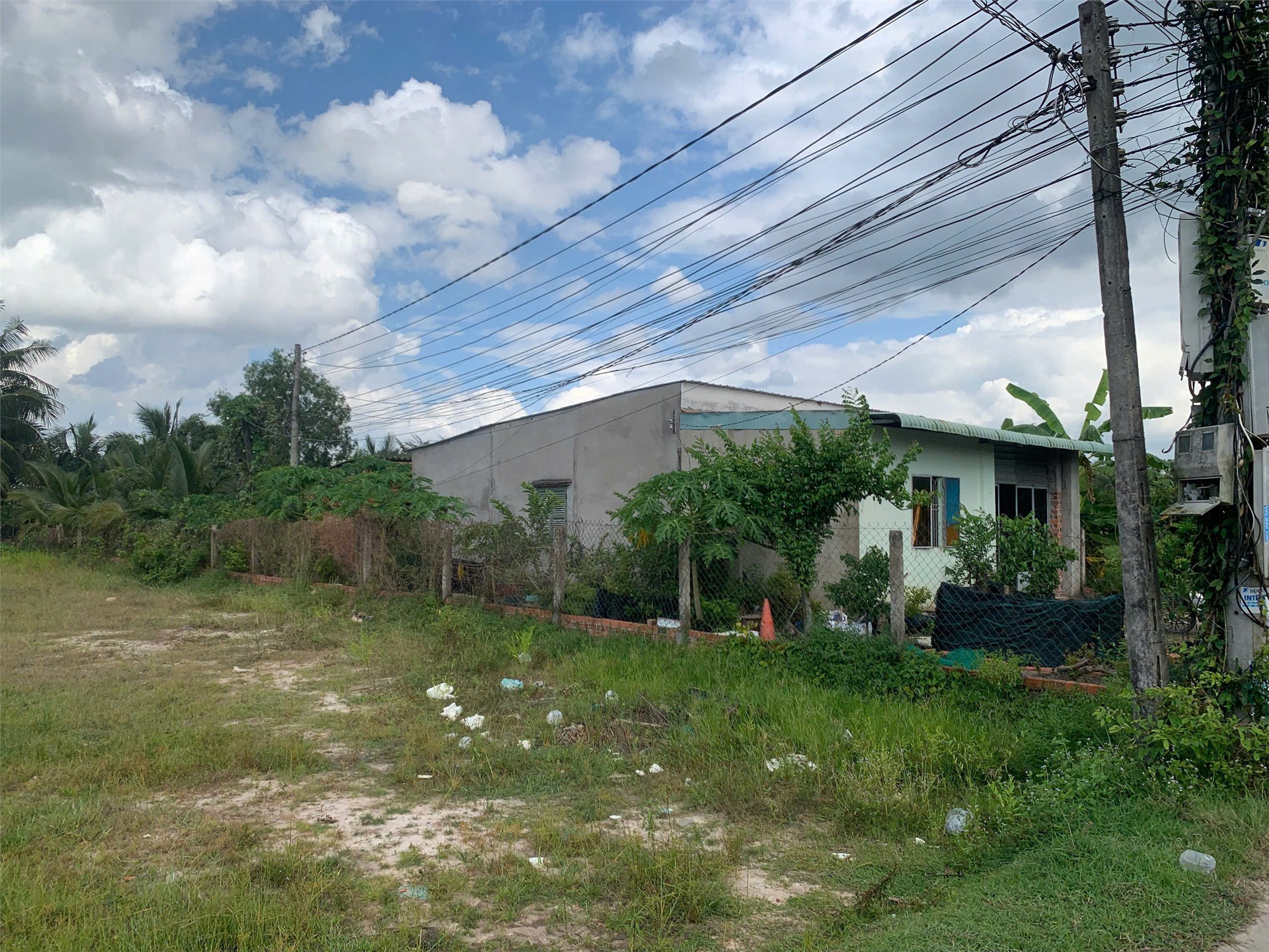 ĐẤT ĐẸP - GIÁ TỐT - BÁN ĐẤT KHU ĐỨC HOÀ, gần chùa Trương Tấn Sang - Ảnh 4
