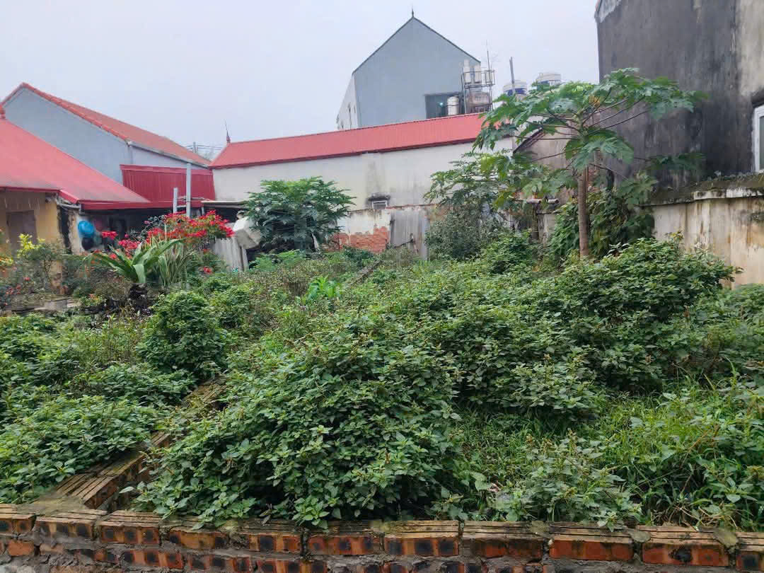 BÁN ĐẤT 45 3.6 3.1 TỶ VĂN XÁ, THƯỜNG TÍN - Ảnh chính