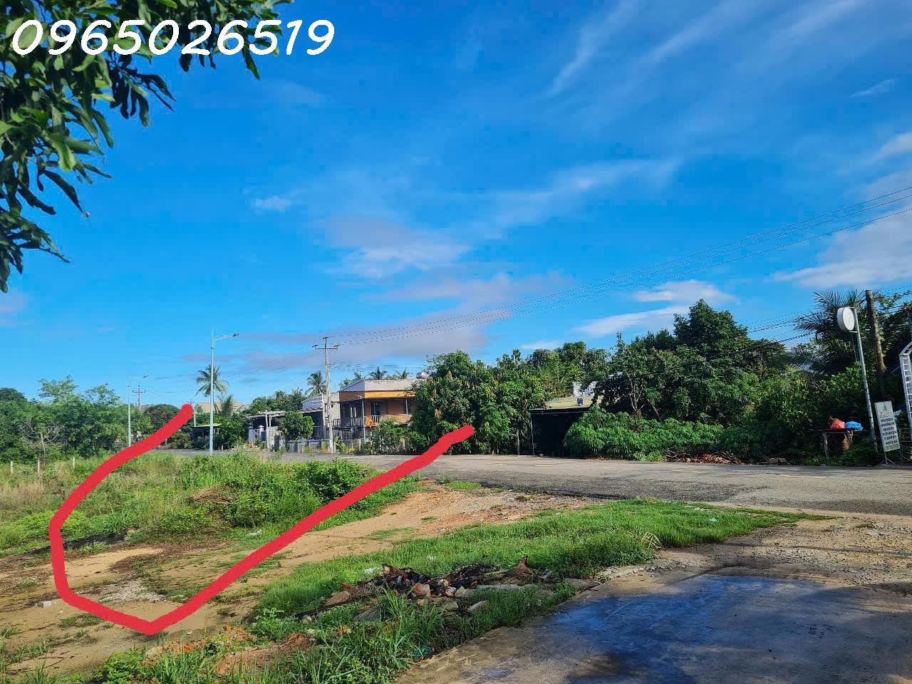 Cần tiền bán nhanh lô đất siêu đẹp tại Tân An, La Gi, Bình Thuận, DT 184m2, giá 1,8 tỷ TL - Ảnh chính