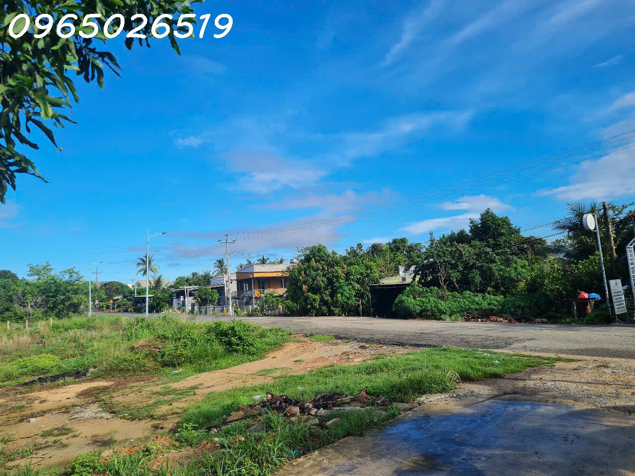 Cần tiền bán nhanh lô đất siêu đẹp tại Tân An, La Gi, Bình Thuận, DT 184m2, giá 1,8 tỷ TL - Ảnh 2
