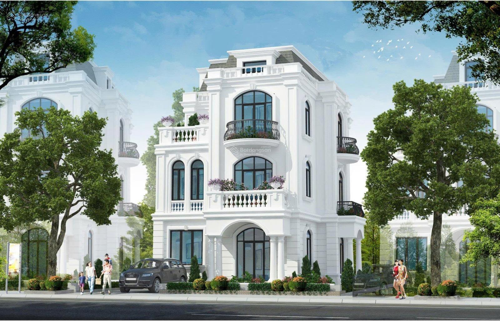 Chính chủ bán lô đất biệt thự 180m² - Giá chỉ 4,2 tỷ! Tại dự án Ecohome Tràng Duệ - Ảnh 4