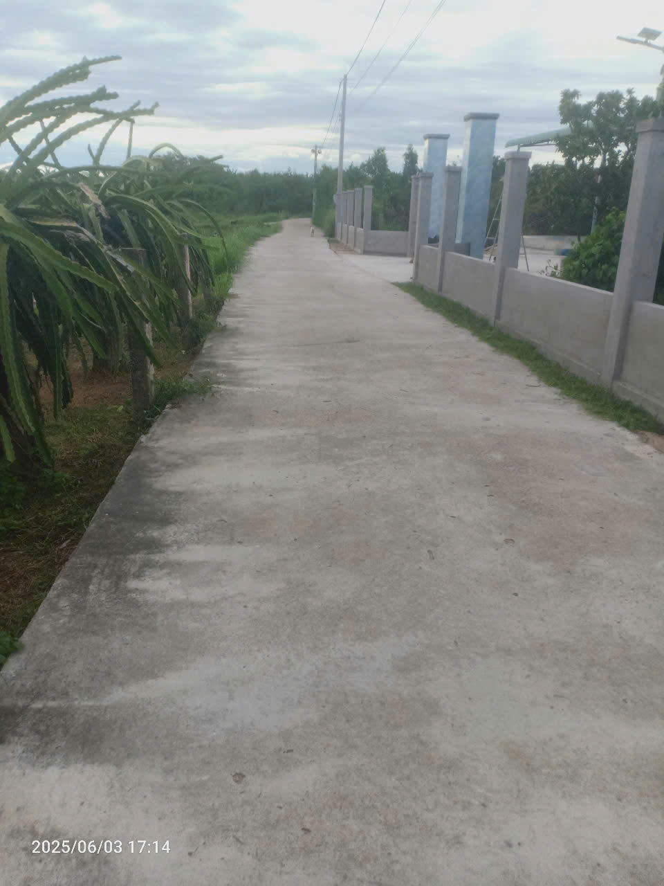 Bán Gấp đất mặt tiền bê tông khu phố Lâm Giáo - Ma Lâm - Hàm Thuận Bắc - Lâm Đồng - Ảnh chính