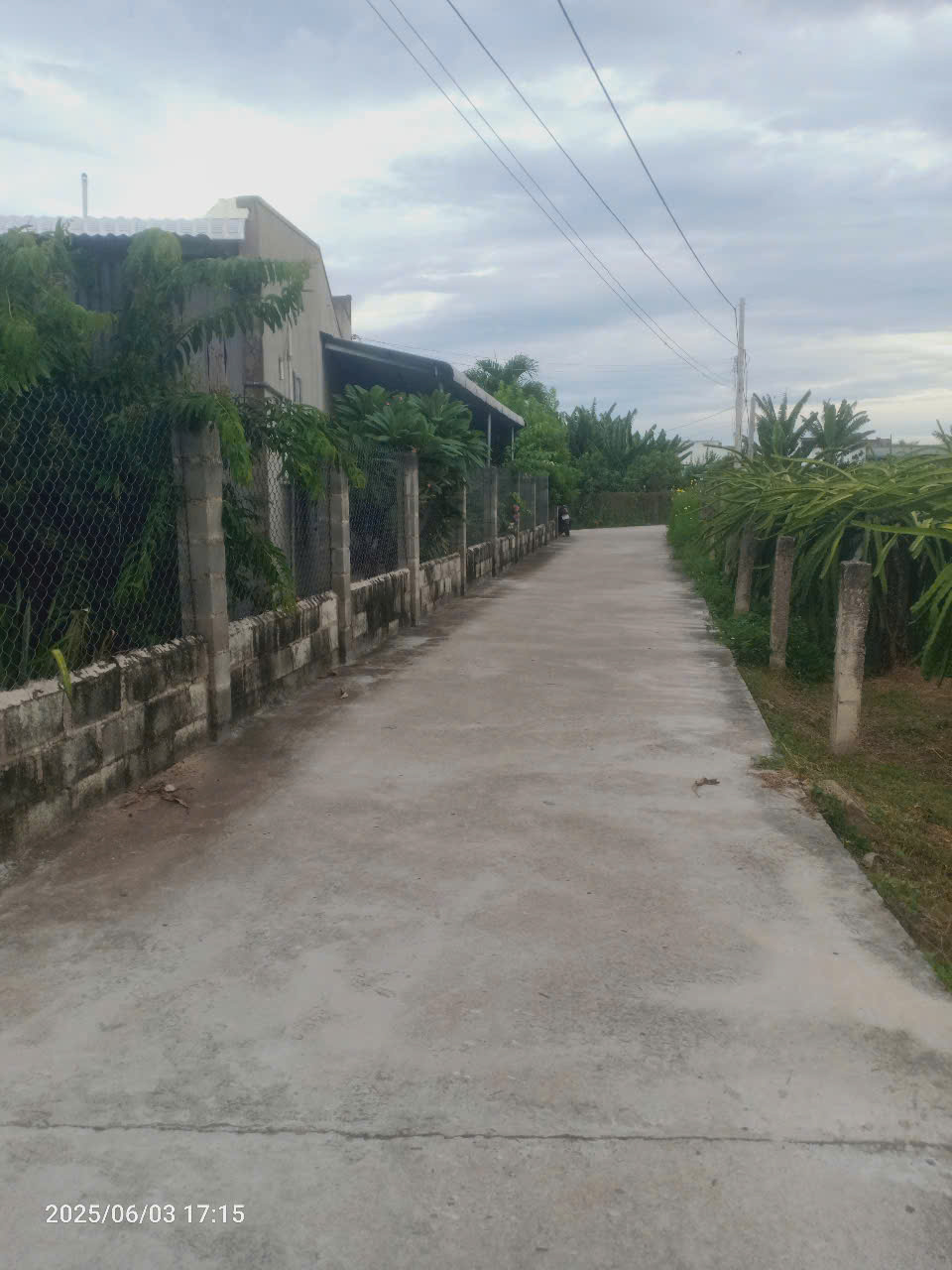 Bán Gấp đất mặt tiền bê tông khu phố Lâm Giáo - Ma Lâm - Hàm Thuận Bắc - Lâm Đồng - Ảnh 1