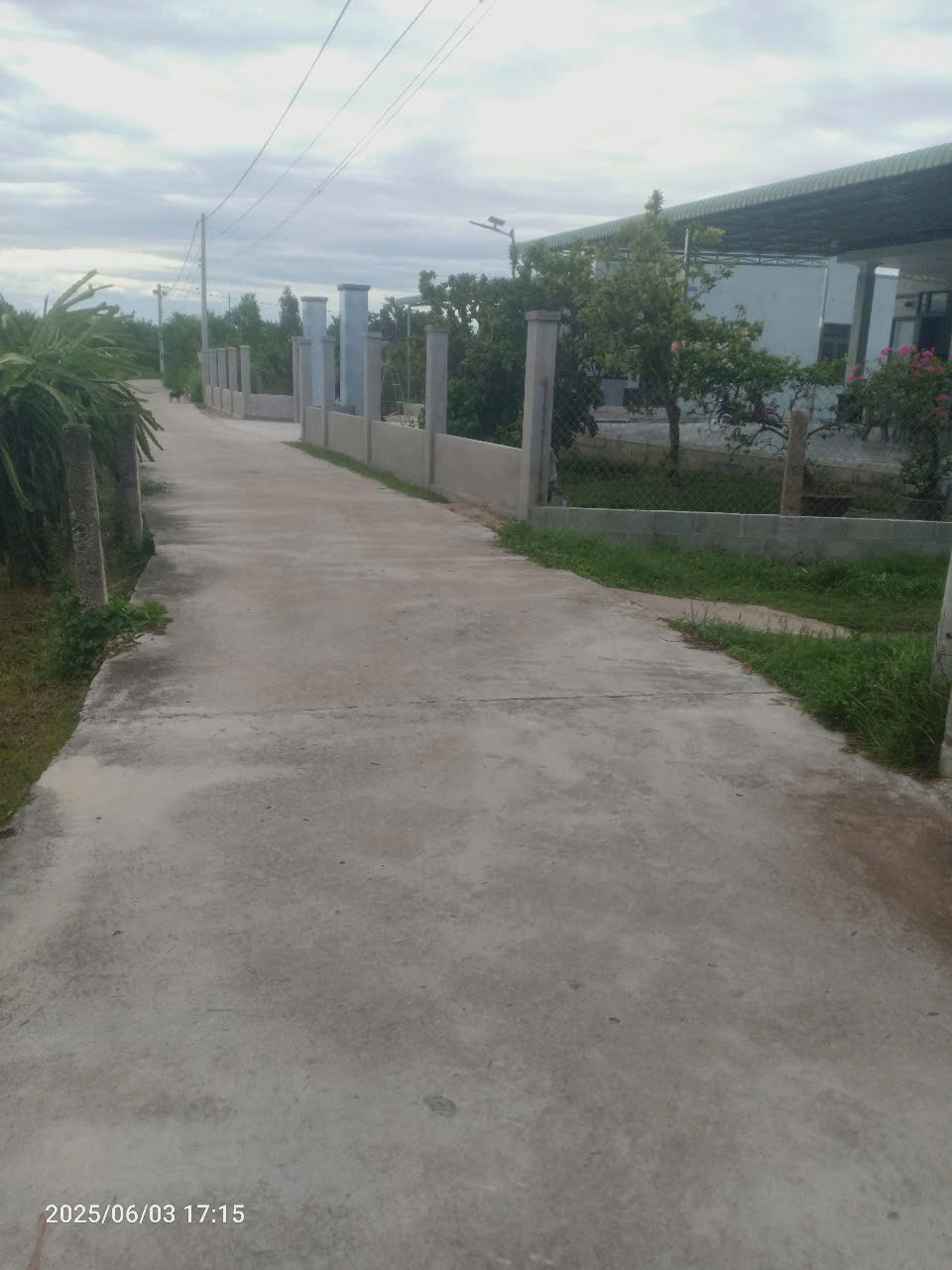 Bán Gấp đất mặt tiền bê tông khu phố Lâm Giáo - Ma Lâm - Hàm Thuận Bắc - Lâm Đồng - Ảnh 2