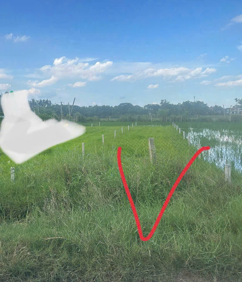 Chính Chủ Bán 177.1m2 Đất Mặt Tiền Bê Tông Chùa Pháp Tuyền, Đức Hòa Thượng, Huyện Đức Hòa, Long An - Ảnh chính