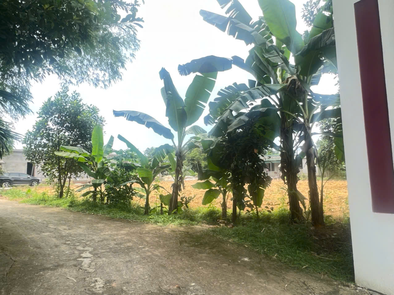 BÁN ĐẤT GẦN KHU CÔNG NGHIỆP TÂY HÀ TĨNH – THÔN TÂY SƠN, XÃ LƯU VINH SƠN - Ảnh 2