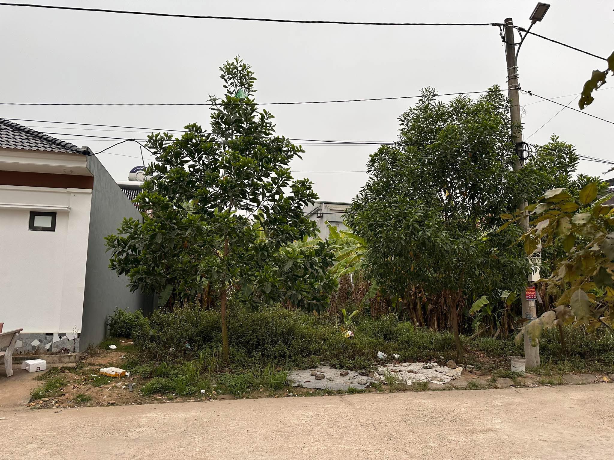 Chính chủ cần bán Nhanh Lô Đất Tại  Khu 14 Đồi Măng, Thanh Miếu, Việt Trì, Phú Thọ - Ảnh chính