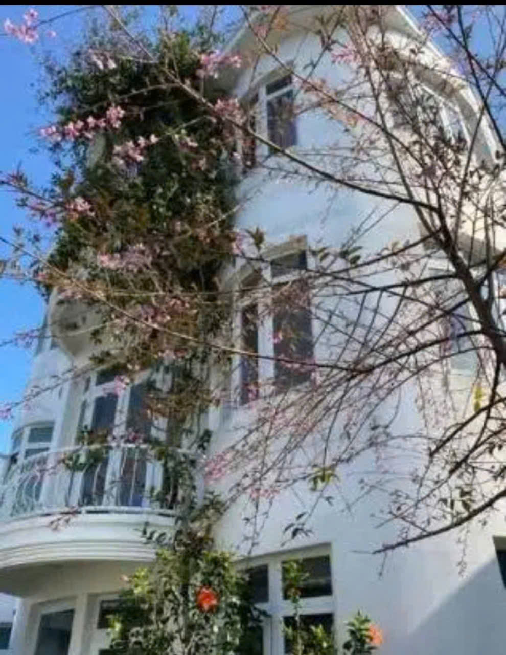 CHO THUÊ VILLA SÂN VƯỜN - CÔ GIANG PHƯỜNG 9 ĐÀ LẠT - Ảnh chính