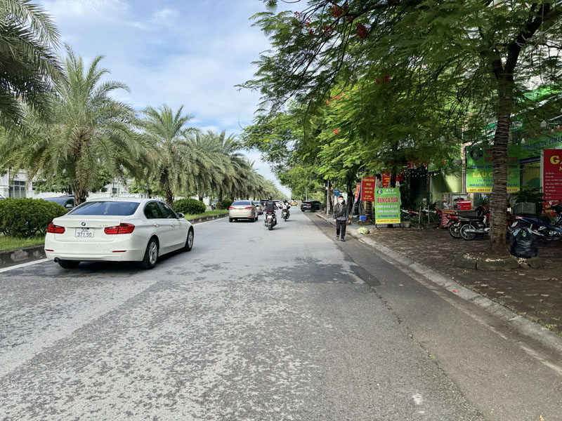 Bán 88,05m2 đất tặng nhà 1,5 tầng đang cho thuê tại mặt phố Đào Đình Luyện đối diện Vinhomes - Ảnh 1