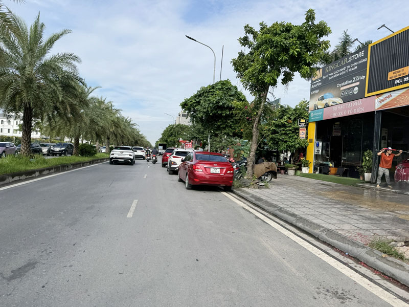 Bán 88,05m2 đất tặng nhà 1,5 tầng đang cho thuê tại mặt phố Đào Đình Luyện đối diện Vinhomes - Ảnh 3