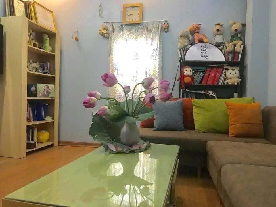 Cho thuê nhà nguyên căn ngõ 87 Láng Hạ, Đống Đa 30m x 4T giá 14tr, ở và kinh doanh - Ảnh chính