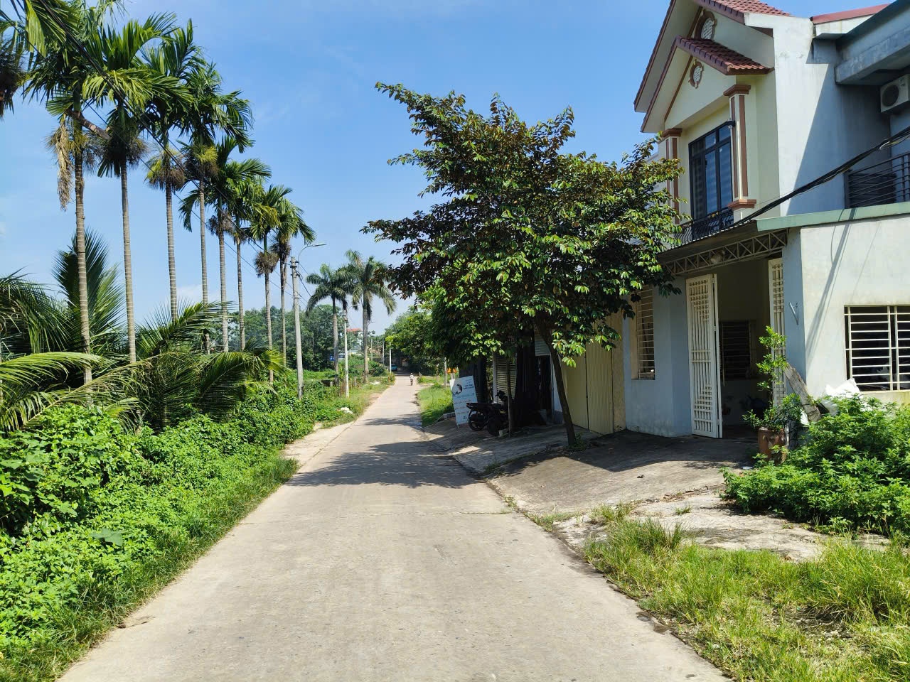 Bán thổ cư TT Tây Đằng, DT100m2, MT5m, 2 mặt thoáng, 4 tỷ Ba Vì - Ảnh 3