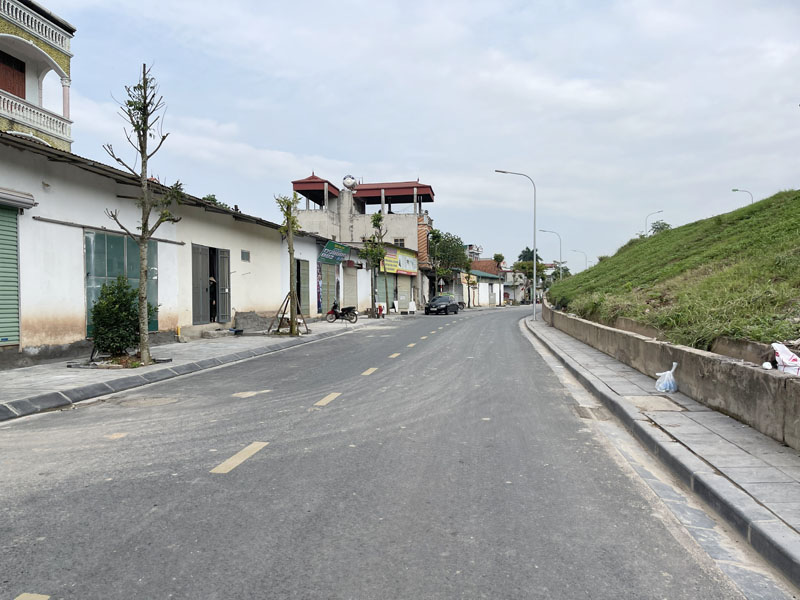 Cần bán gấp 48,7m2 đất mặt đường Đê Vàng, Phúc Lợi - Lô góc, nở hậu, tiềm năng kinh doanh vô hạn - Ảnh 2