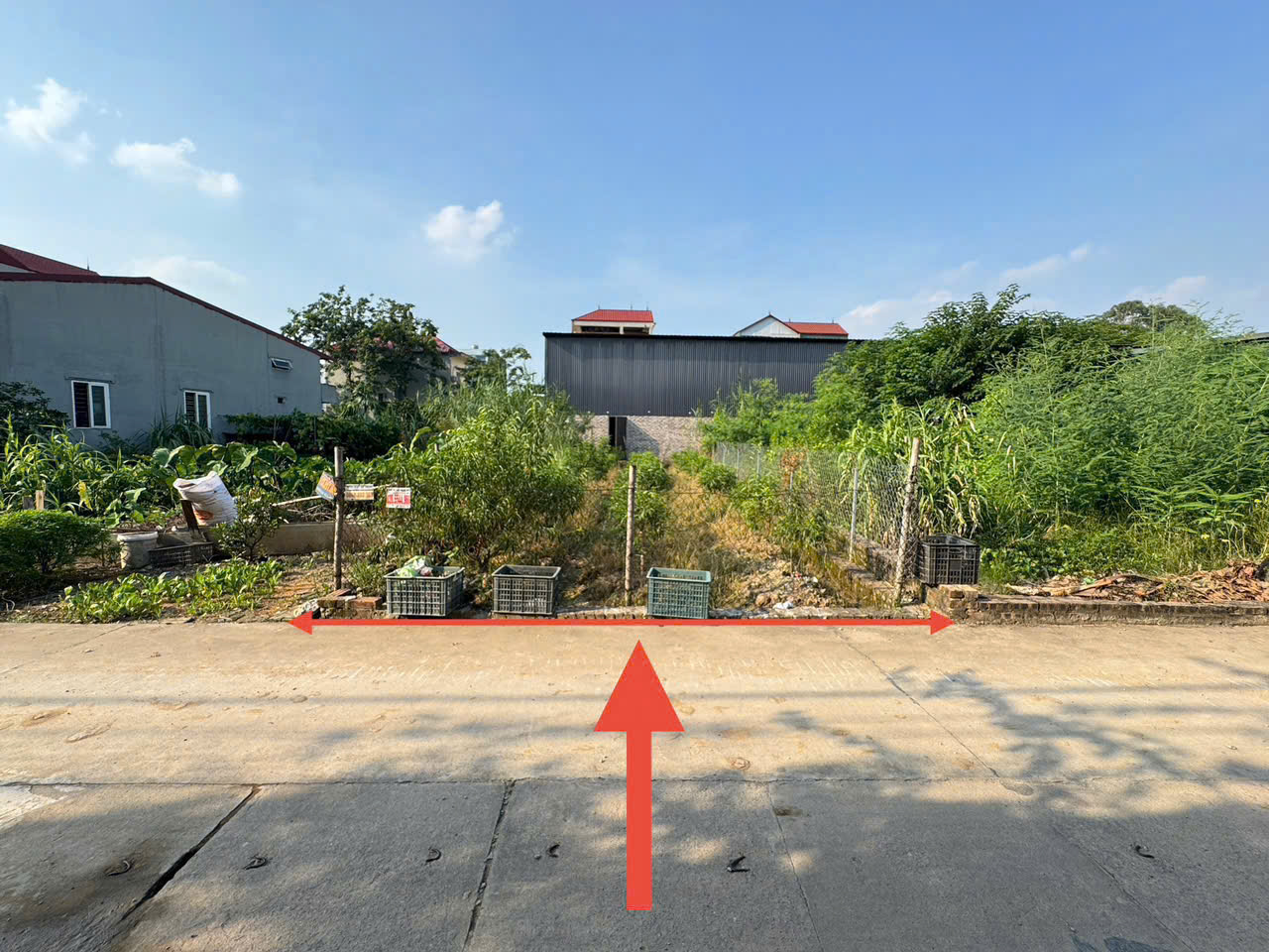 Bán lô đất siêu đẹp thôn Ấp Tre, tổ 9, Quang Minh. Cách 1 nhà ra đường rộng 20m - Ảnh 2