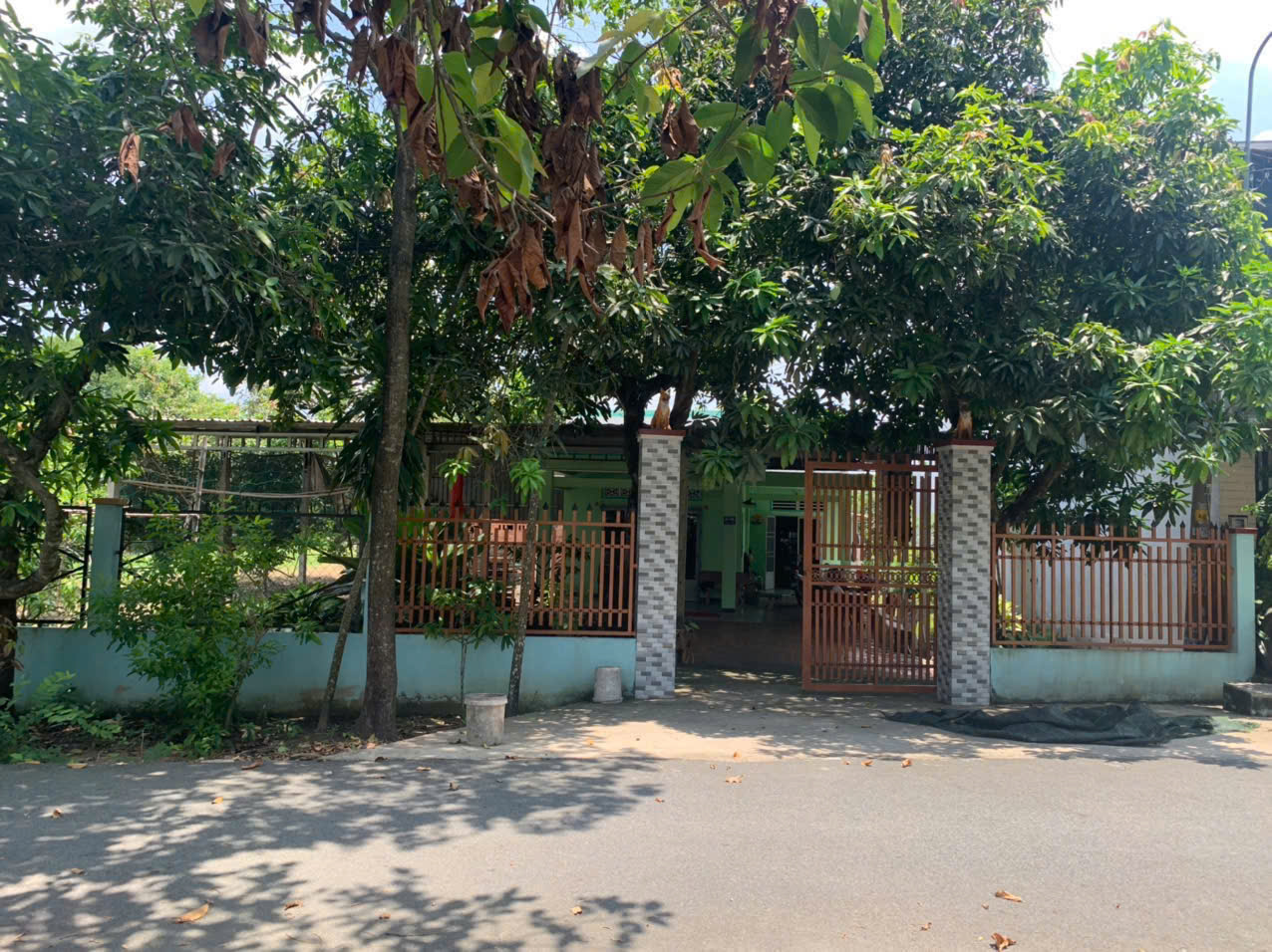 Chính chủ cần bán NHANH LÔ  đất MT đường nhựa tại xã Tân Thông Hội, Củ Chi, TP HMC - Ảnh 1