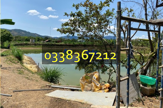 ⭐Bán đất vị trí đẹp tại Đ.Đinh Công Tráng, Lộc Châu, Phường 3 - Bảo Lộc, Lâm Đồng; 0338367212 - Ảnh 1