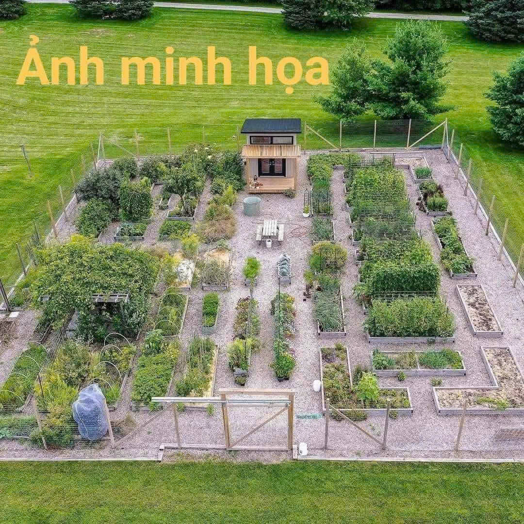 Mỗi người đều mơ một mái nhà – nơi bình yên để yêu và lớn lên cùng nhau. - Ảnh chính