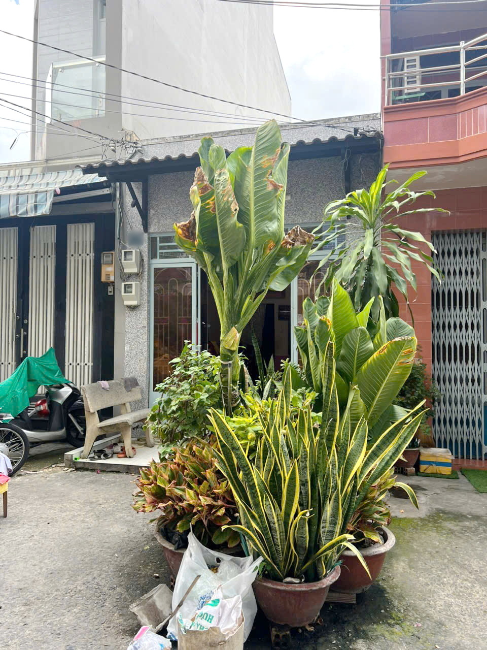 Nhà nở hậu L 8m gần đường Hưng Phú P9Q8. Giá: 5.8 tỷ - Ảnh 1