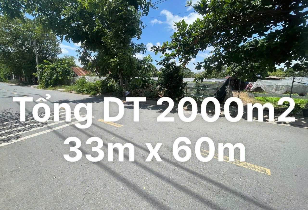 Đất Nguyễn thị Na Đông Thạnh Hóc Môn Hồ Chí Minh 1973m2 có 16,5 tỷ - Ảnh chính