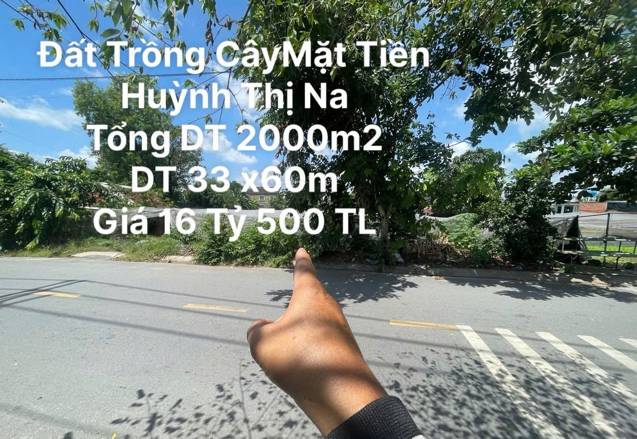 Đất Nguyễn thị Na Đông Thạnh Hóc Môn Hồ Chí Minh 1973m2 có 16,5 tỷ - Ảnh 1