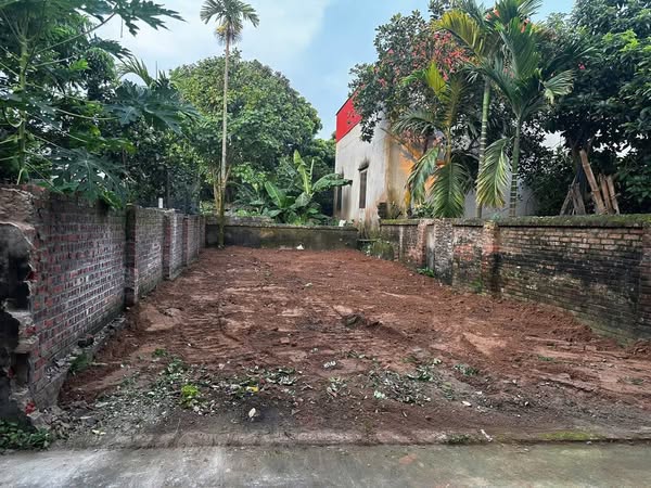 CHÍNH CHỦ MUỐN BÁN NHANH MẢNH ĐẤT 79M ĐƯỜNG OTO BẢO LỘC _ PHÚC THỌ _ HÀ NỘI - Ảnh 1